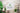 Canvas mockup hanging in a leafy, plant-filled corner of a room with natural lighting, evoking tropical home decor.